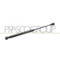Molla A Gas destro/Sinistro Portellone posteriore (130N L.305MM) per Smart Fortwo ME3029055