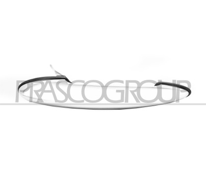 Maniglia Porta Esterna anteriore sinistro per Mini Clubman (R55), Coupe (R58) e One/Cooper (R50,R53) e altri modelli MN3048005