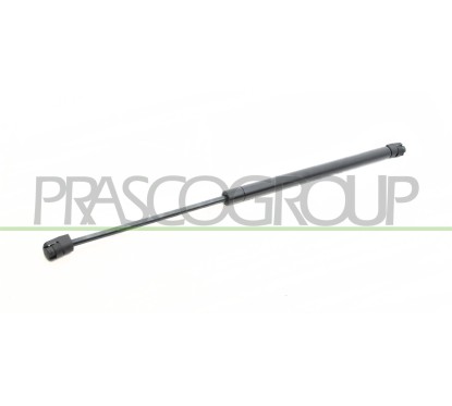 Molla A Gas destro/Sinistro Portellone posteriore (330N L.495MM) per Mini One/Cooper (R50,R53) MN3049055