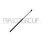 Molla A Gas destro/Sinistro Portellone posteriore (520N L.543MM) per Land Rover Freelander e Opel Meriva OP3509055