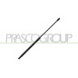 Molla A Gas destro/Sinistro Cofano (310N L.543MM) per Opel Astra H e Astra J OP4109005