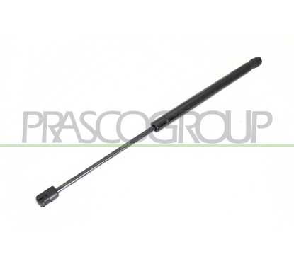 Molla A Gas destro/Sinistro Portellone posteriore (450N L.423MM) per Opel Astra H OP4109055