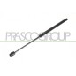 Molla A Gas destro/Sinistro Portellone posteriore (450N L.423MM) per Opel Astra H OP4109055