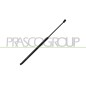Molla A Gas Portellone posteriore destro/Sinistro per Opel Astra K OP4209065