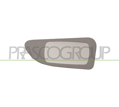 Piastra Specchio Inferiore destro Convessa per Nissan NV400, Opel Movano e Renault Master IV e altri modelli OP9547515
