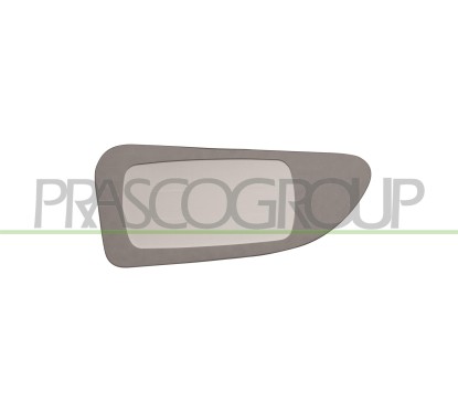 Piastra Specchio Inferiore sinistro Convessa per Nissan NV400, Opel Movano e Renault Master IV e altri modelli OP9547516