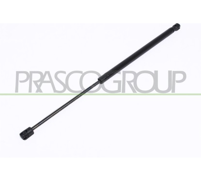 Molla A Gas destro/Sinistro Portellone posteriore (360N L.520MM) per Peugeot 206 e 206 Plus PG0099055