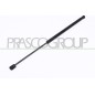 Molla A Gas destro/Sinistro Portellone posteriore (360N L.520MM) per Peugeot 206 e 206 Plus PG0099055