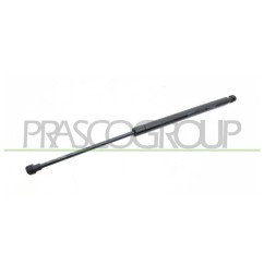 Molla A Gas Portellone posteriore destro/Sinistro per Peugeot 208 PG3269055