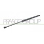 Molla A Gas Portellone posteriore destro/Sinistro per Peugeot 208 PG3269055