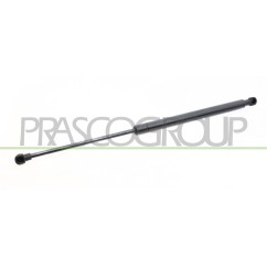 Molla A Gas destro/Sinistro Portellone posteriore (450N L.455MM) per Peugeot 307 PG4209055 - 64-PG4209055 - 64-PG4209055