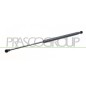 Molla A Gas destro/Sinistro Portellone posteriore (450N L.455MM) per Peugeot 307 PG4209055
