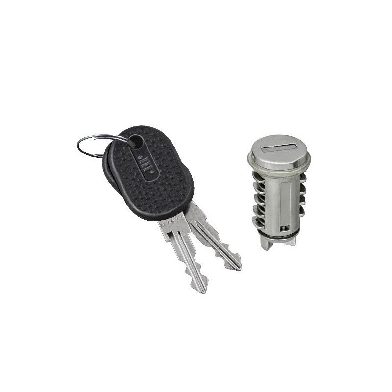 Blocchetto Maniglia anteriore destro/Sinistro - Portellone (Con Chiave) per Fiat Tempra (159) e Tipo AL801007