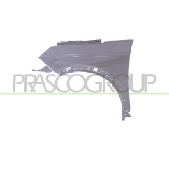 Parafango anteriore sinistro Peugeot 3008 dal 2017 anche per Peugeot 5008 PG5243004 - 64-PG5243004 - 64-PG5243004