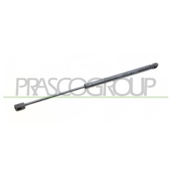 Molla A Gas Portellone posteriore destro/Sinistro per Renault Clio RN0239055 - 64-RN0239055 - 64-RN0239055