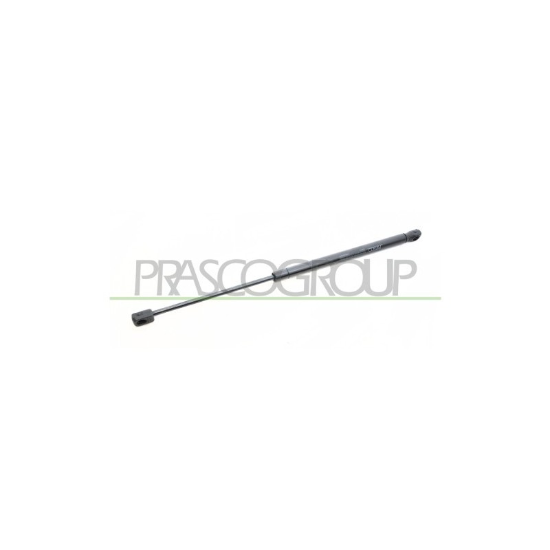 Molla A Gas Portellone posteriore destro/Sinistro per Renault Clio RN0239055