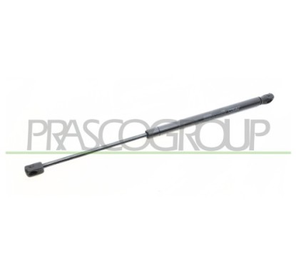 Molla A Gas Portellone posteriore destro/Sinistro per Renault Clio RN0239055 - 64-RN0239055 - 64-RN0239055