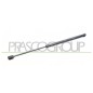 Molla A Gas Portellone posteriore destro/Sinistro per Renault Clio RN0239055