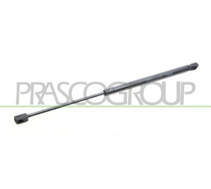 Molla A Gas Portellone posteriore destro/Sinistro per Renault Clio RN0239055