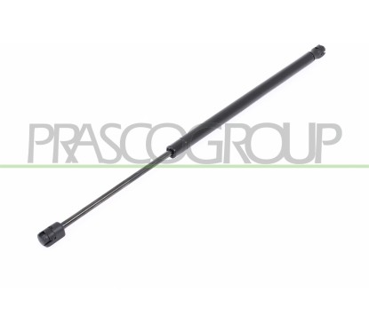 Molla A Gas destro/Sinistro Portellone posteriore (625N L.519MM) per Renault Scenic-Grand Scenic RN0349055