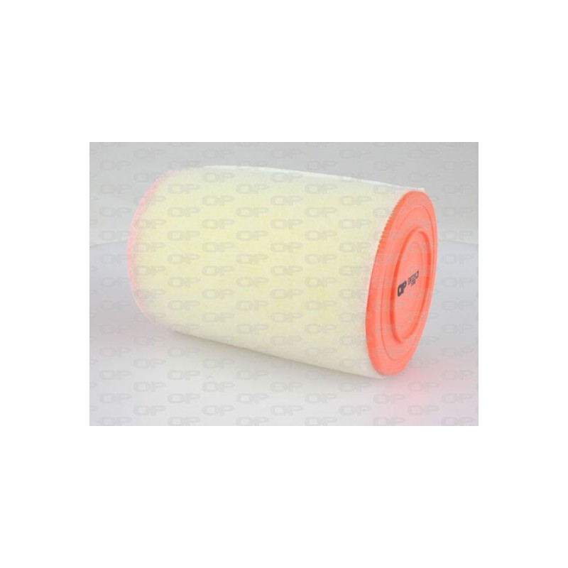 Filtro Aria EAF3219.20