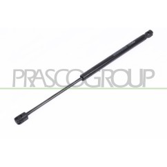 Molla A Gas destro/Sinistro Portellone posteriore (500N L.419MM) per Renault Megane RN4209055 - 64-RN4209055 - 64-RN4209055