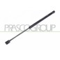 Molla A Gas destro/Sinistro Portellone posteriore (500N L.419MM) per Renault Megane RN4209055