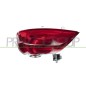 Gruppo ottico sinistro (Retronebbia) (Mod. Rs) per Renault Megane, Megane Grand Coupe e Scenic-Grand Scenic RN4304464