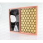 Filtro Aria EAF3675.10