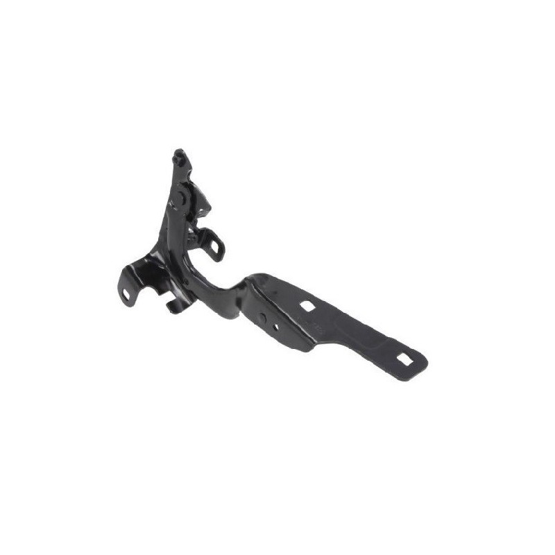 Cerniera Cofano destro per Renault Captur RN7003703