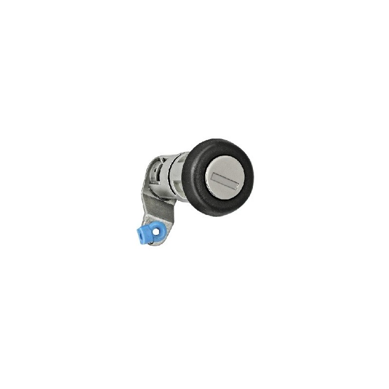 Boccola Maniglia Porte/Portellone per Iveco Daily AL80545SC