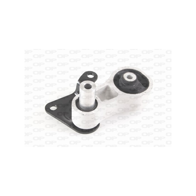 Supporto Motore EMS4009.00