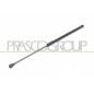 Molla A Gas destro/Sinistro Portellone posteriore (Mod. 5P.) (320N L.500MM) per Seat Leon ST4229055