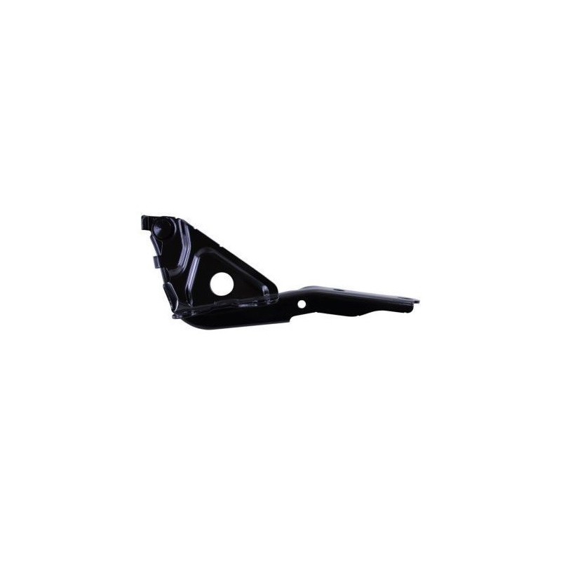 Cerniera Cofano destro per Toyota Rav 4 TY2873703