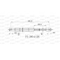 Molla A Gas Portellone posteriore destro/Sinistro per Citroen C2 GSR6498.00