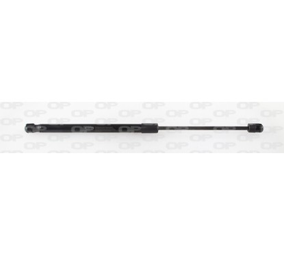 Molla A Gas Portellone posteriore destro/Sinistro per Citroen C2 GSR6498.00