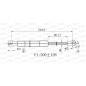 Molla A Gas Cofano anteriore destro per Audi A3 (8V1) e A3 (8VK) GSR6524.01