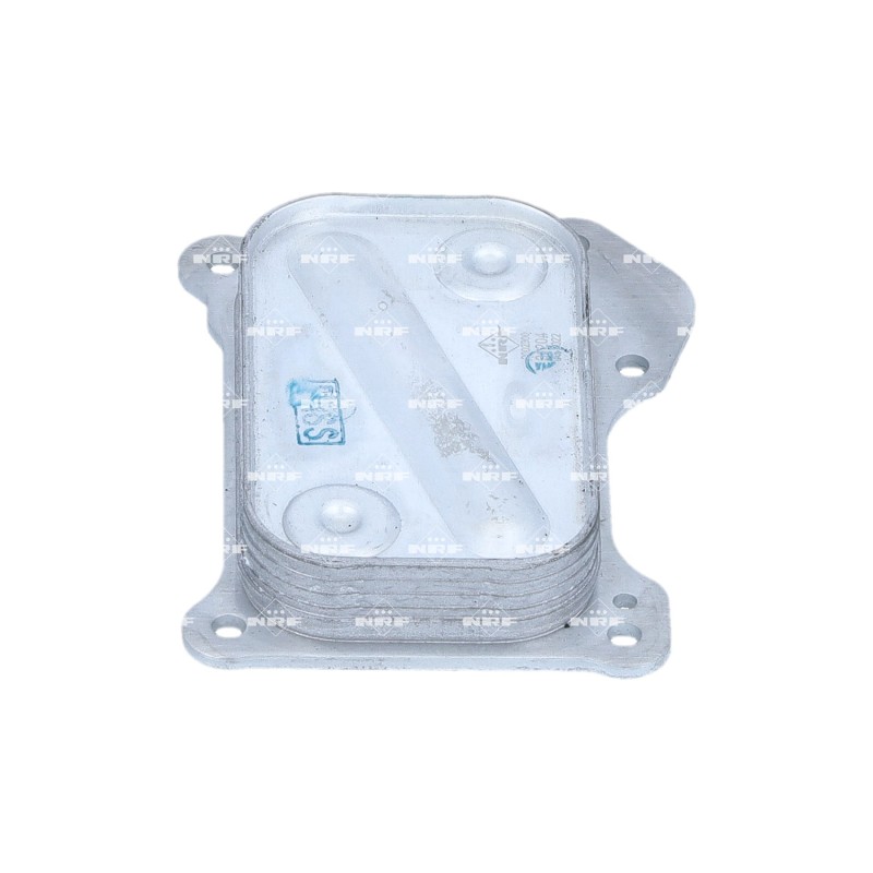 Radiatore Olio Fiat 31204