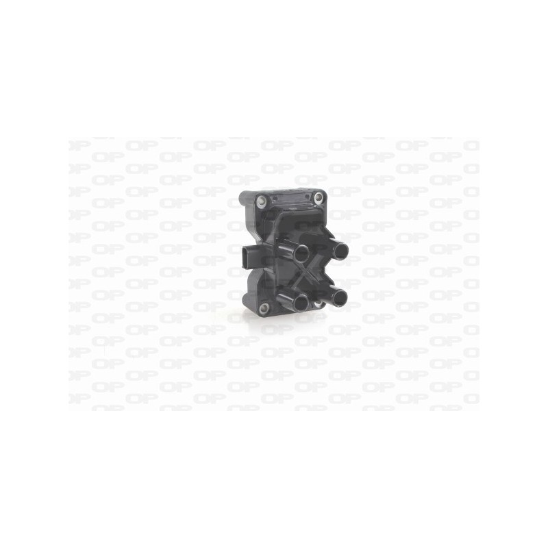 Bobina Accensione IGN1011.00
