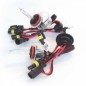 Xeno H11 - 6000K (Conf.2 Pz) 39265