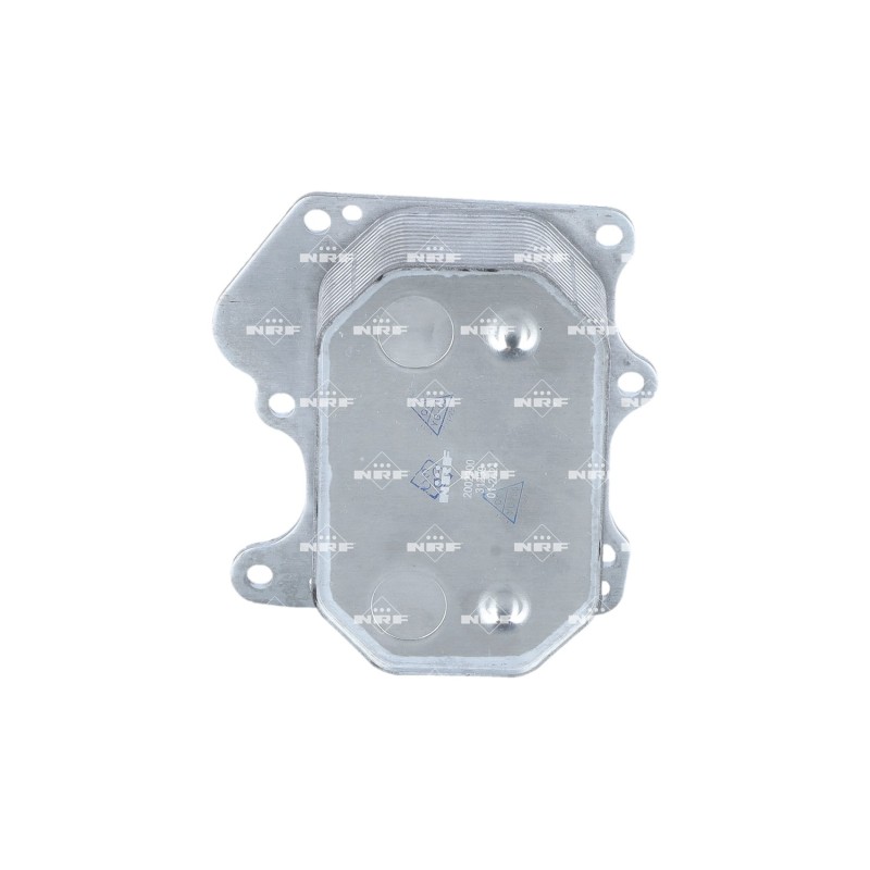 Radiatore Olio Ford 31239