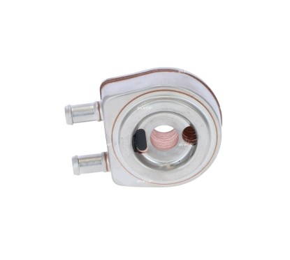 Radiatore Olio Iveco 31240