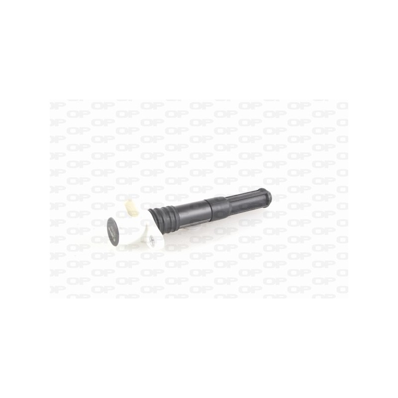 Bobina Accensione IGN1028.00