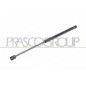 Molla A Gas destro/Sinistro Portellone posteriore (380N L.431MM) per Volkswagen Polo VG0169055