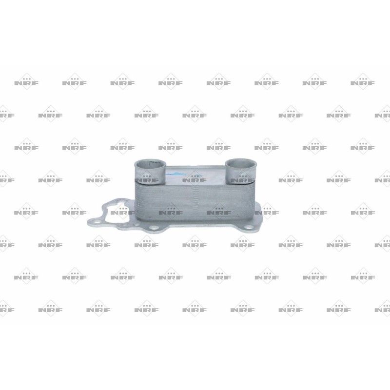 Radiatore Olio Bmw 31756
