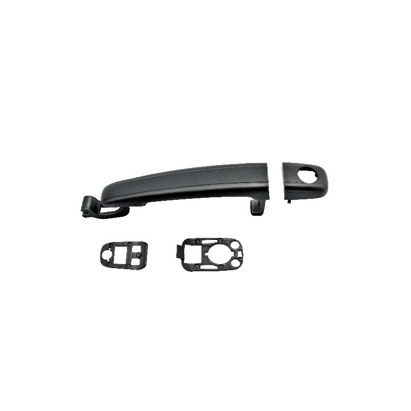 Maniglia Porta Esterna anteriore sinistro C/Pr (3/5 Porte) (Con Foro Nottolino) per Citroen C2, C3 e Peugeot 307 AL8081003