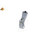 Radiatore Olio Opel 31805