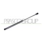 Molla A Gas Portellone posteriore destro/Sinistro per Volkswagen Passat VG0549055