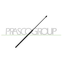 Molla A Gas Cofano anteriore per Volkswagen Passat VG0559001