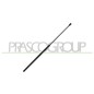 Molla A Gas Cofano anteriore per Volkswagen Passat VG0559001